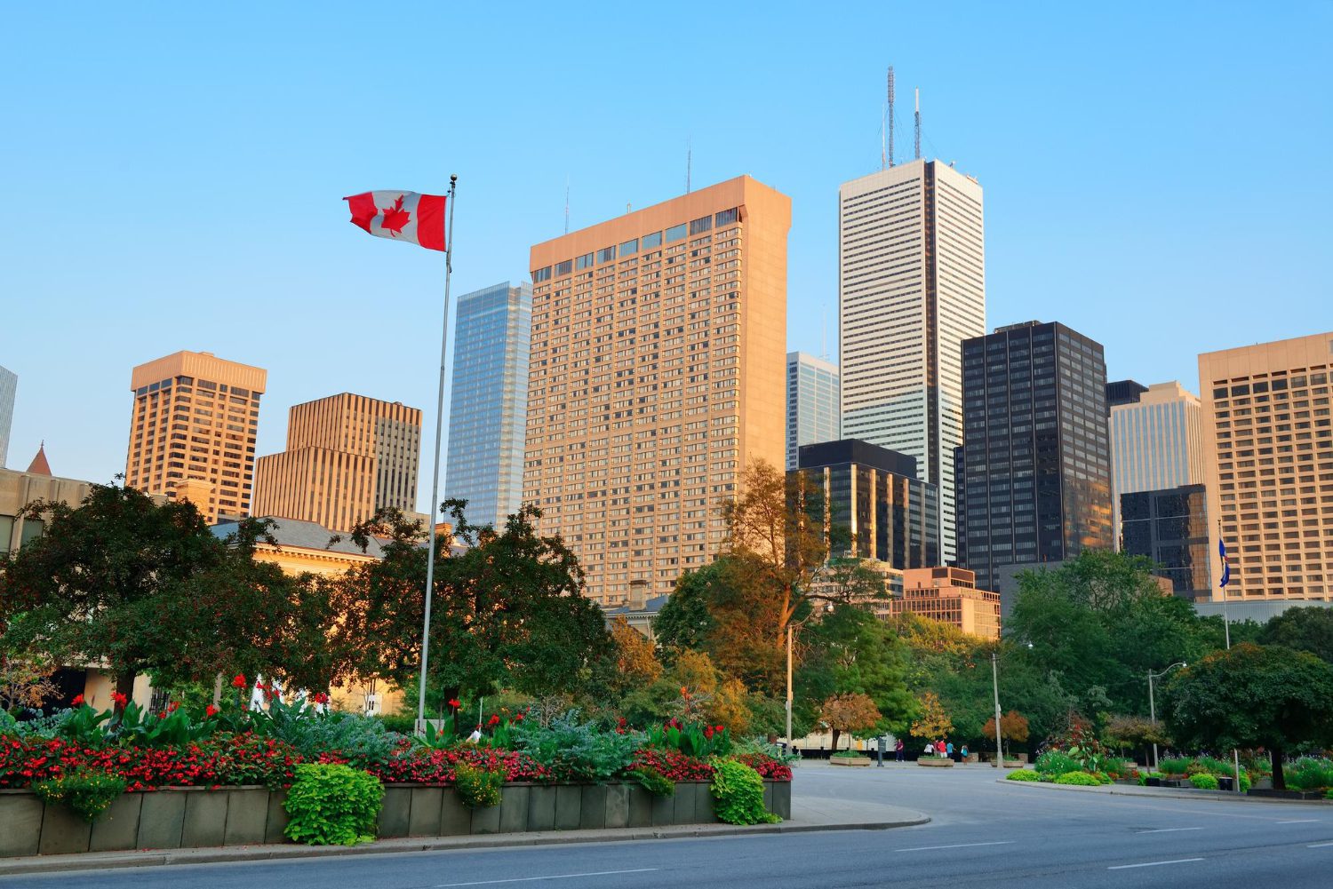 Financial institution with Canadian and USA MSB for sale