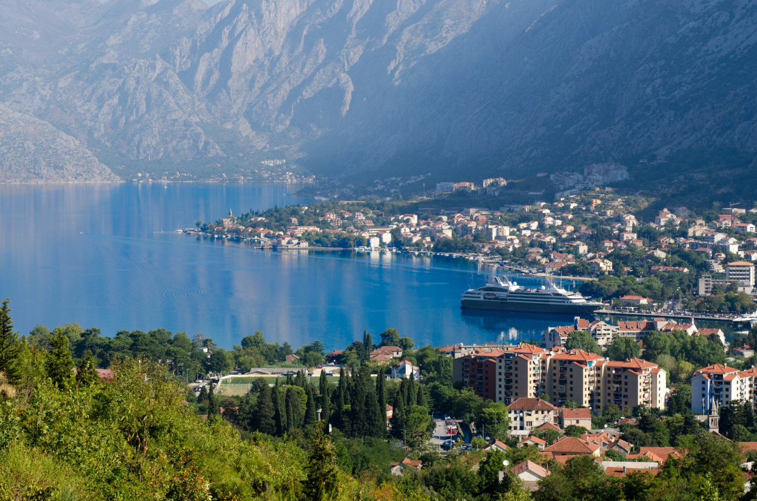 Company liquidation in Montenegro